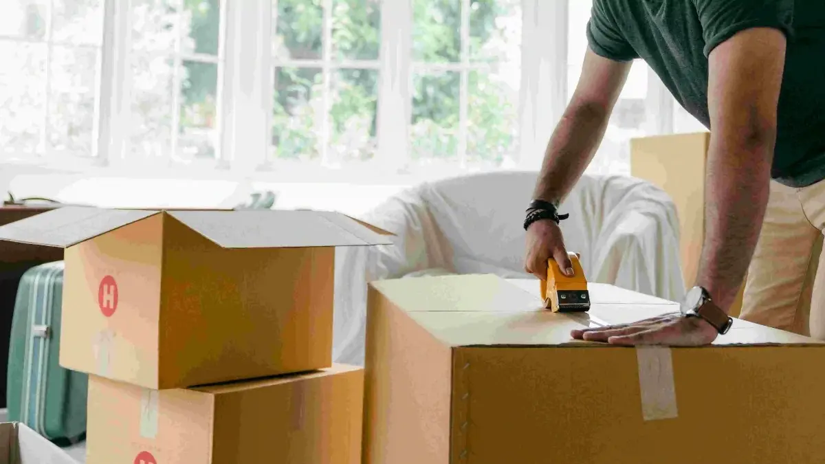 Curtains & Light Installation